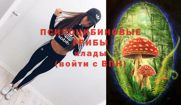стафф Абинск