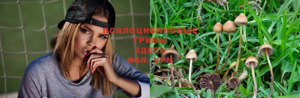 стафф Абинск