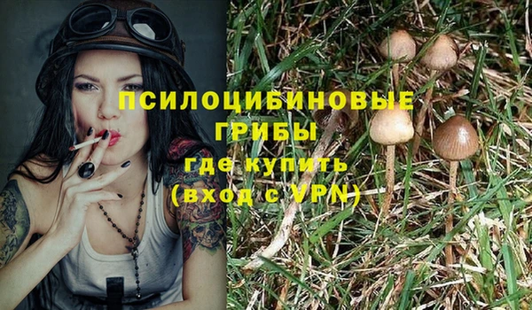 стафф Абаза