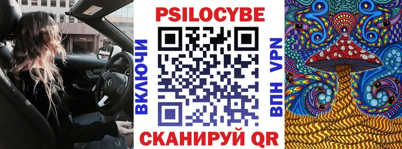 сколько стоит  MEGA ТОР  Псилоцибиновые грибы мухоморы  Новое Девяткино 